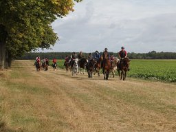 IMG_7093-017